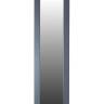 Зеркало напольное BeautyStyle 8 серый графит 138 см х 35 см