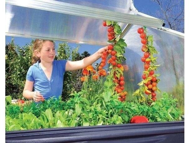 Теплица Palram Plant Inn 4х4 Теплица Palram Plant Inn 4х4